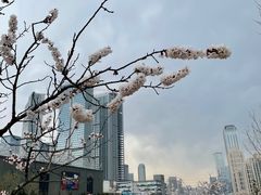 -马栏河运动公园