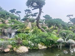 -罗红摄影艺术馆