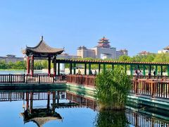 -莲花池公园