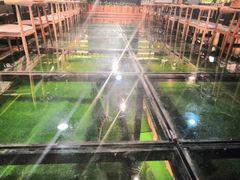 -回声星球·团建策划·赛事承办·拓展培训(大钟寺店)