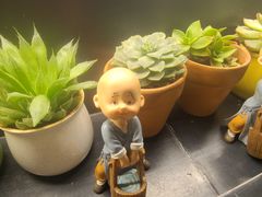 -懒人盐府人家(航天桥店)