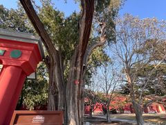 -北京市劳动人民文化宫(太庙)