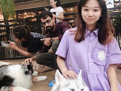 -TrueLove @ Neverland (Husky Cafe)