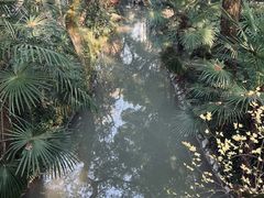 -汇龙潭