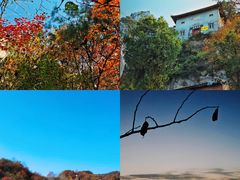 -秦岭风景区