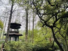 -浙江三立开元名都大酒店