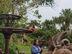 -奥兰多迪士尼动物王国乐园