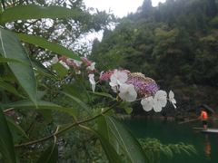 -佛爷洞旅游景区