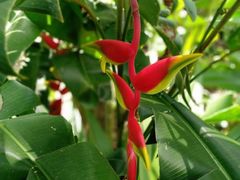 -优游吧斯邹族文化部落