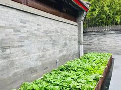 -京兆尹(雍和宫店)