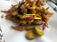 苔菜江白虾-宁波状元楼酒店(和义路店)