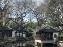 -秋霞圃