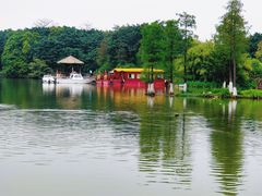 -海珠湖公园