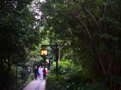 -成都市活水公园