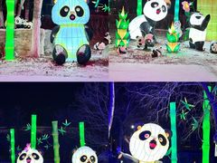 -沈阳奥体冰雪嘉年华