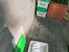 -玫瑰红烤羊排(北新桥三条店)