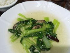 -老品芳