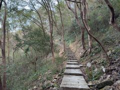 -严子陵钓台(富春江小三峡)