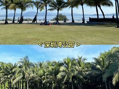 -深圳湾公园(南山区)