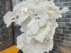 -游龙石文化科普馆