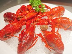 至尊虾王冰镇龙虾-沪小胖·小龙虾·蓝龙王(八佰伴店)
