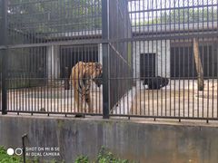-广东茂名森林公园