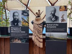 -怀托摩萤火虫洞