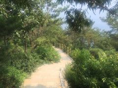 -燕窝岭