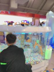 -卡通尼乐园(上海安亭店)