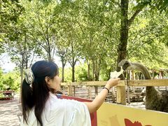 -水上乐园·欢乐世界