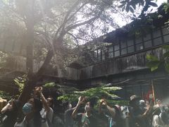 -书隐楼