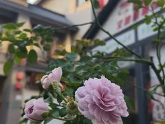 -回龙窝历史文化街区