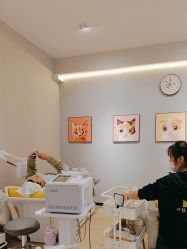 -洗脸猫·洗脸吧
