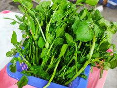 西洋菜-花苑美食横琴生蚝火锅(拱北粤华路店)