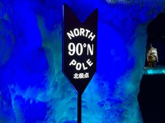 -海合安武汉极地海洋公园