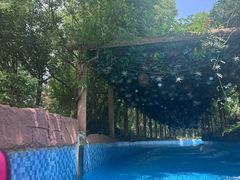 -苏州乐园森林水世界