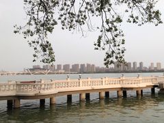 -君来湖滨饭店·玫瑰园