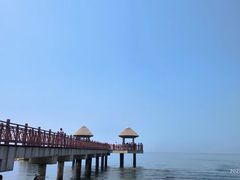 -养马岛旅游度假区