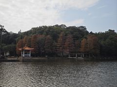 -深圳仙湖植物园