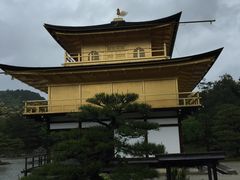 -豆政(金閣寺境内売店)