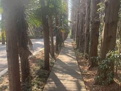 -同里国家湿地公园