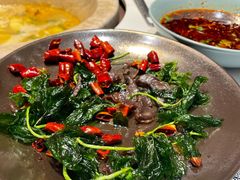 -七采菌园·野生菌石锅鱼(环城北路店)