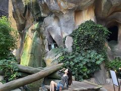 -杭州开元森泊度假乐园