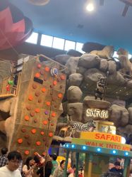 -卡通尼·Safari非洲探索乐园·生日会(金桥国际商业广场店)