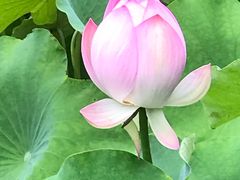 -四川大学(华西校区)