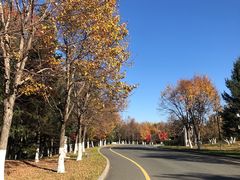 -长春世界雕塑园冰雪艺术天地