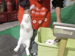 -米二红烧兔(华阳店)