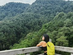 -铁山坪森林公园