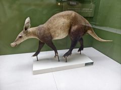 -国家自然博物馆