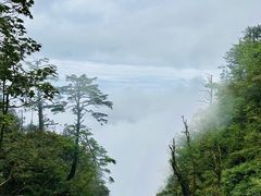 -峨眉山风景名胜区